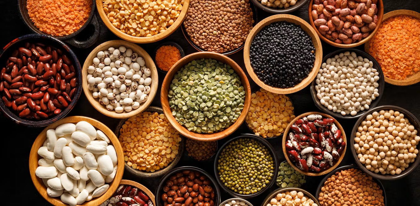 collection Of pulses